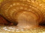 Bajo Microscopio