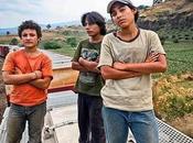 Jaula Oro’, cine valiente