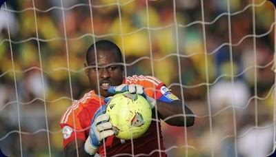 nigeria 2014 enyeama