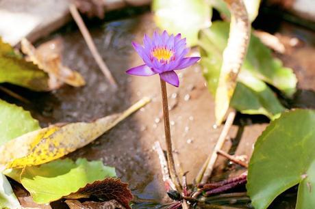 INSPIRATIONAL MONDAY #9