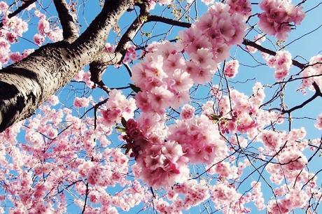 INSPIRATIONAL MONDAY #8 INSPIRATIONAL MONDAY #8