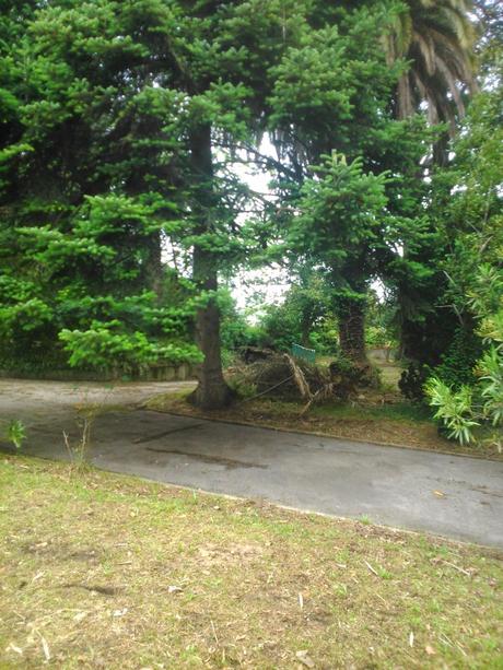 la mansión  abandonada de villa Amada