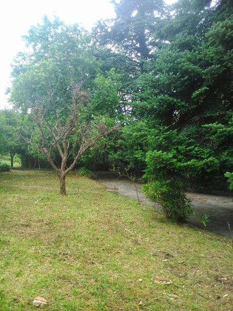 la mansión  abandonada de villa Amada