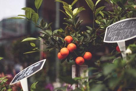 london-photography-amintaonline-blogger-9