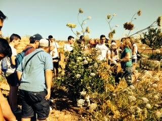 CONVIVENCIA ECO EN CASAS BLANCAS