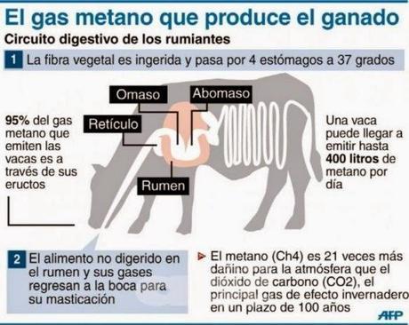 TALLER CASAS BLANCAS II: LA ECOLOGÍA, ¿MODA, MITO O VIDA SANA?