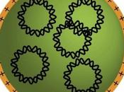 Nanoparticulas capaces entrar células cancerosas cerebrales implantarles instrucciones genéticas