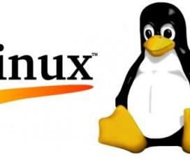 Linux