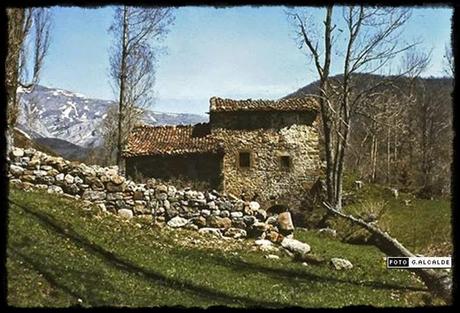 José Luis de Mier, inmemoriam