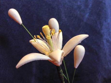Mi flor de azahar en pasta de goma y tutorial para hacer estambres