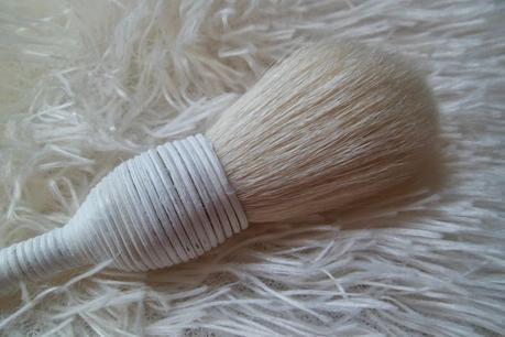 Yachiyo Blanca de Buyincoins: esta vez no