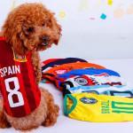 camisetas para perros para el mundial de Brasil 2014