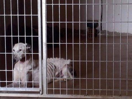 FARNOX, MERECE OLVIDAR. POR FAVOR, AYÚDALE...