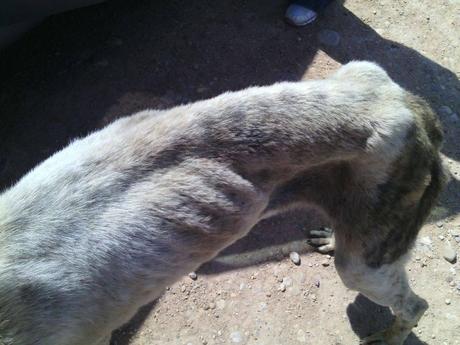 FARNOX, MERECE OLVIDAR. POR FAVOR, AYÚDALE...