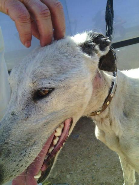 FARNOX, MERECE OLVIDAR. POR FAVOR, AYÚDALE...