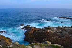 Día Mundial de los Océanos 2014 300x200
