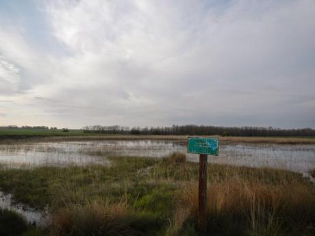 Laguna El Surco en el Burgo Ranero (León)