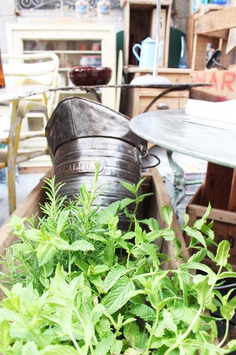 NUESTRA VISITA A DECORACCIÓN