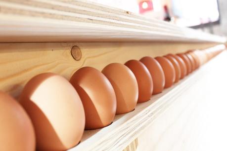 NUESTRA VISITA A DECORACCIÓN