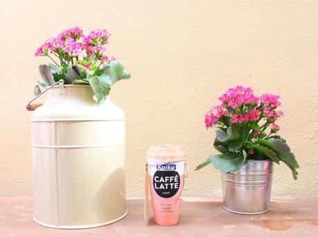 NUESTRA VISITA A DECORACCIÓN