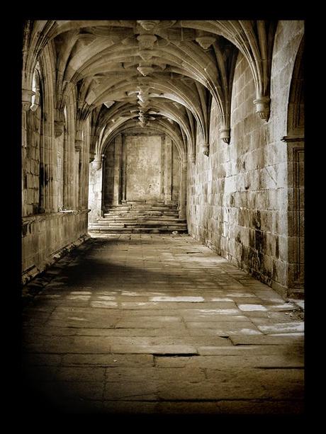 Convento de Tuam, 800 esqueletos de bebés