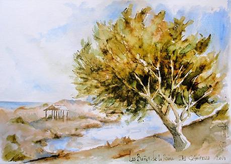 Música, Exposición y descanso en Alicante