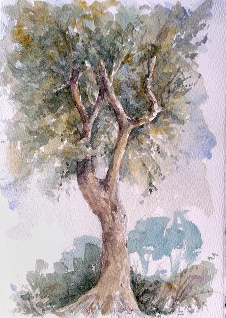 Música, Exposición y descanso en Alicante