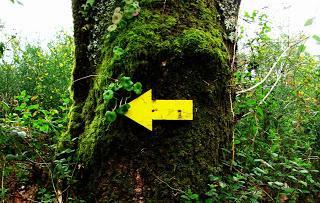 Caminos de Santiago en Galicia Caminos de Santiago en Galicia