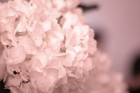 Imaginaria - In Love With Summer