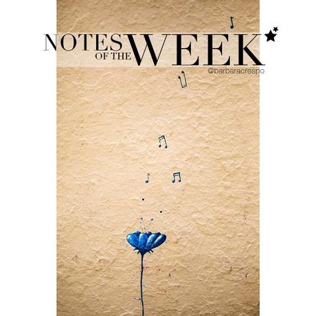 notes of the week barbara crespo tumblr social media instagram youtube instavideo