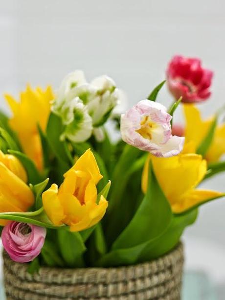 ENTRE TONOS DE VERDE...