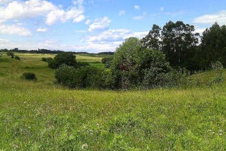 Vuelve el enmascarado