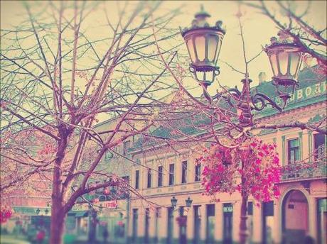 Lazy Sunday... Lazy Sunday...