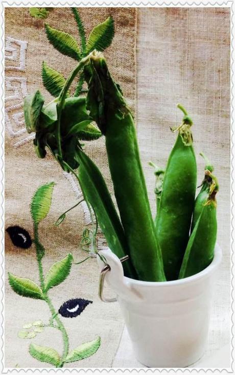 guisantes en florero