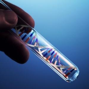 Un nuevo ADN por la mano humana: Biología Sintética