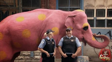 LA BROMA DEL ELEFANTE ROSA Y LA POLICÍA… VÍDEO.