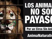 analiza prohibir circos delfinarios Luis Potosí