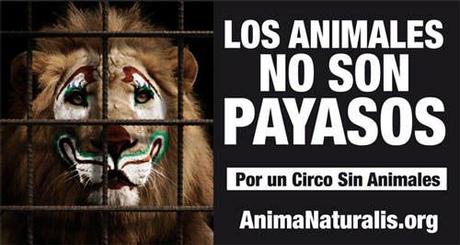 Los leones no son payasos