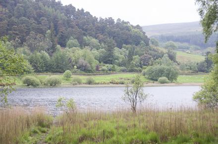 Glendalough, el valle de los dos lagos