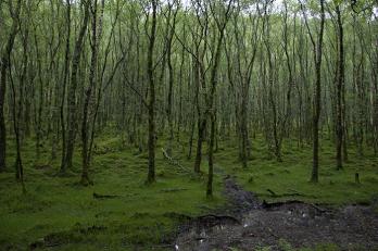 Glendalough, el valle de los dos lagos