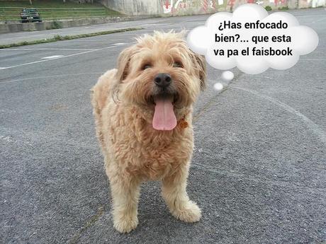 estamos tan agustito