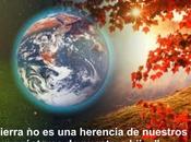 ¿Por debemos cuidar Medioambiente?