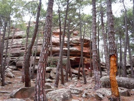 Albarracín (Teruel).