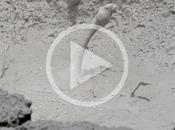 Manifestaciones volcánicas Rincón Vieja