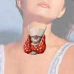 7 hormonas que fomentan la quema de grasas