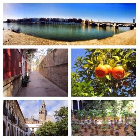 Mis vacaciones por Sevilla