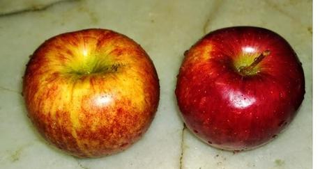 Tarta individual de manzana