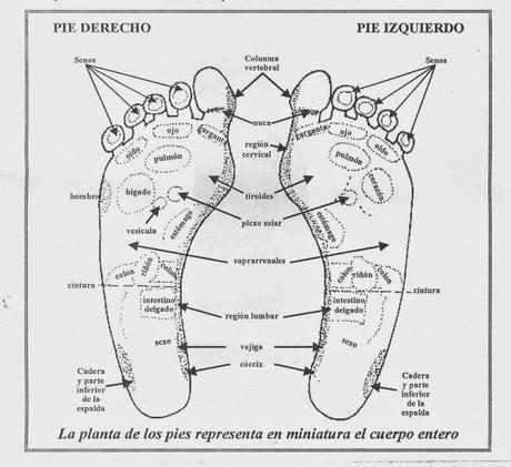 8 TIPS PARA EL CUIDADO DEL HÍGADO