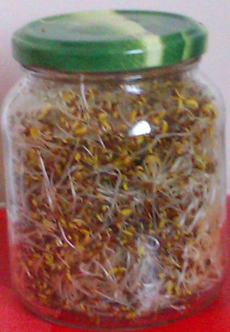 8 TIPS PARA EL CUIDADO DEL HÍGADO