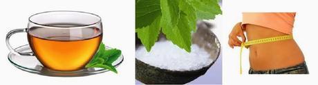 STEVIA ENDULZANTE NATURAL